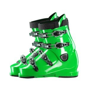 Pair green-dark ski shoe